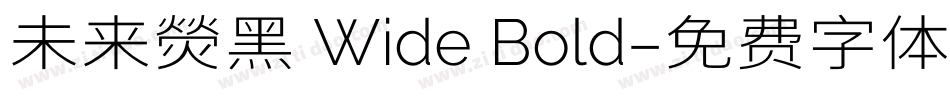 未来熒黑 Wide Bold字体转换